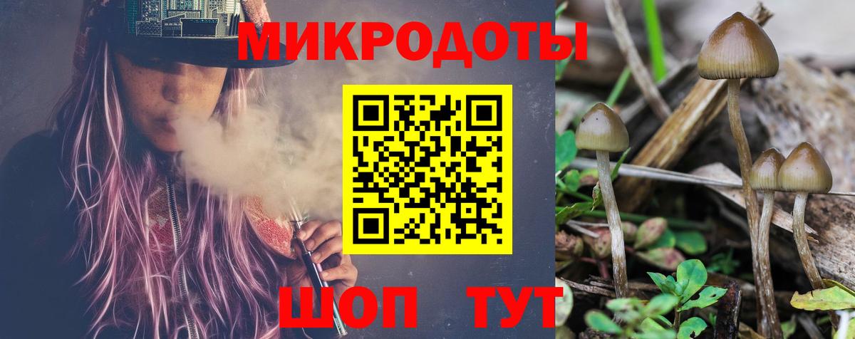 Можга  Псилоцибиновые грибы ЛСД  Вход с VPN 